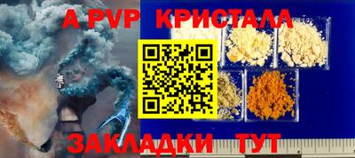 крисы Кунгур