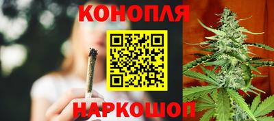 крисы Кунгур
