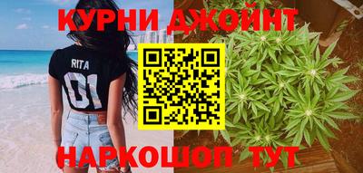крисы Кунгур