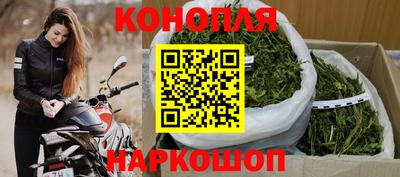 крисы Кунгур