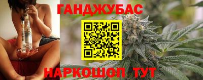крисы Кунгур