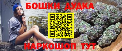крисы Кунгур