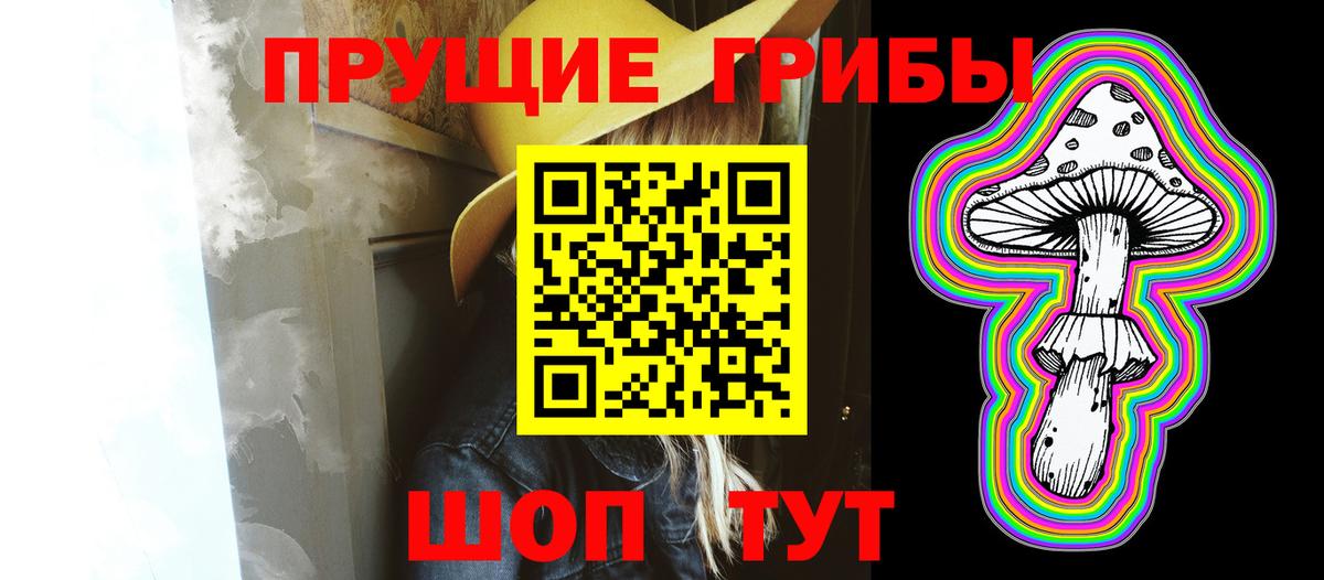 Вольск  Галлюциногенные грибы Magic Shrooms  наркота  Вход с VPN 