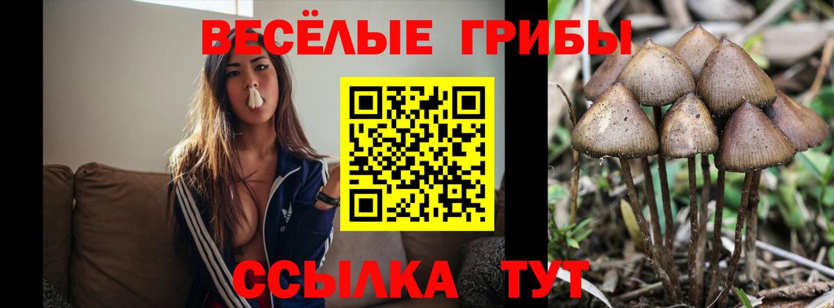 Галлюциногенные грибы MAGIC MUSHROOMS Вольск